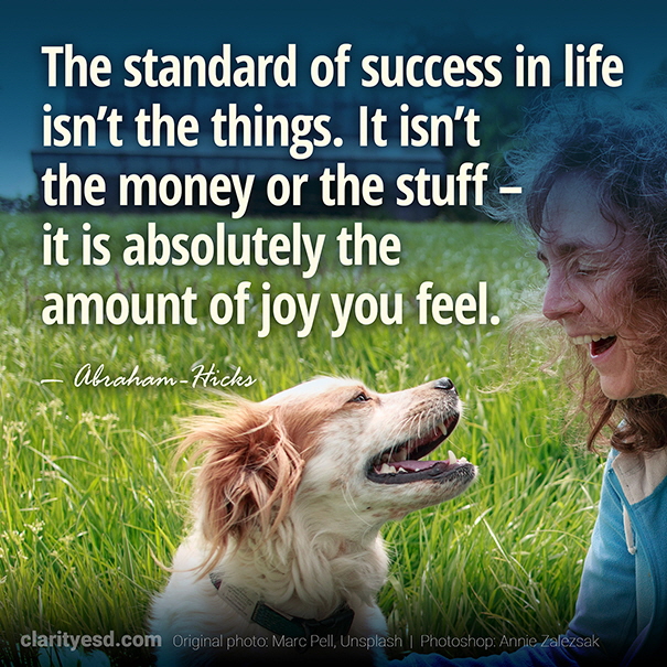 The standard of success in life isn't the things. It isn't the money or the stuff. It is absolutely the amount of joy that you feel.
