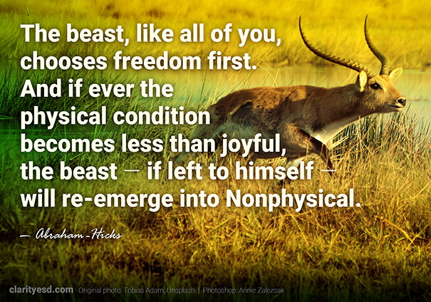 The beast, like all of you, chooses freedom first. And if ever the physical condition becomes less than joyful, the beast – if left to himself – will re-emerge into Nonphysical.