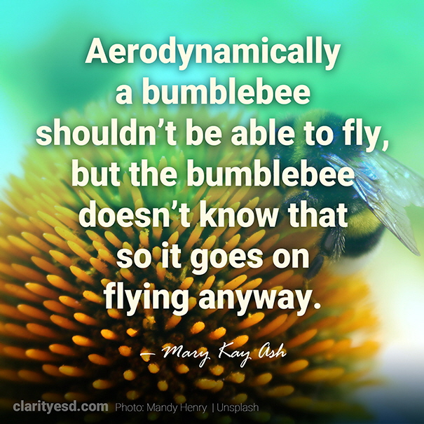 Aerodynamically a bumblebee shouldn't be able to fly, but the bumblebee doesn't know that so it goes on flying anyway.