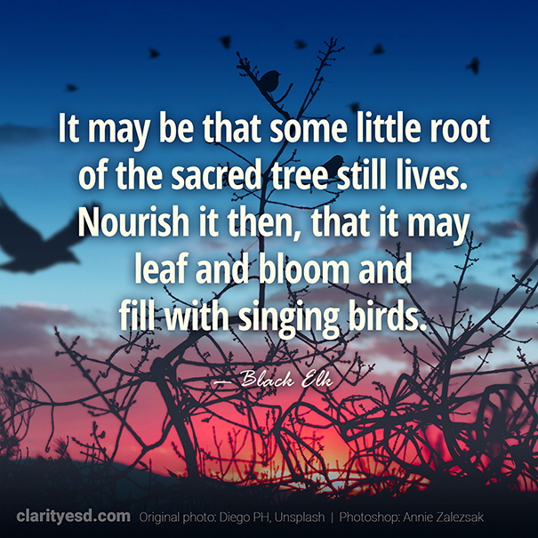 It may be that some little root of the sacred tree still lives. Nourish it then, that it may leaf and bloom and fill with singing birds.