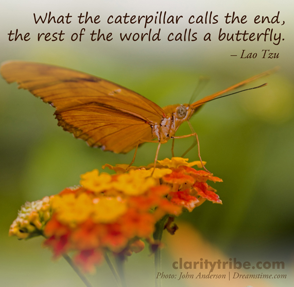 What the caterpillar calls the end, the rest of the world calls a butterfly.