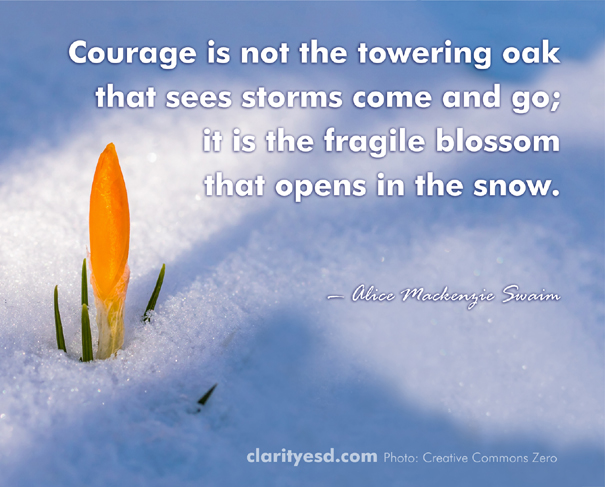 Courage is not the towering oak that sees storms come and go; it is the fragile blossom that opens in the snow.