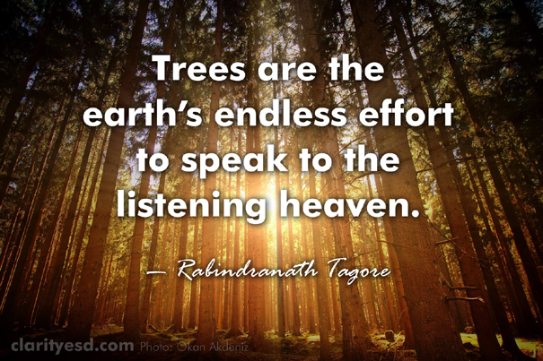 Trees are the earth's endless effort to speak to the listening heaven.