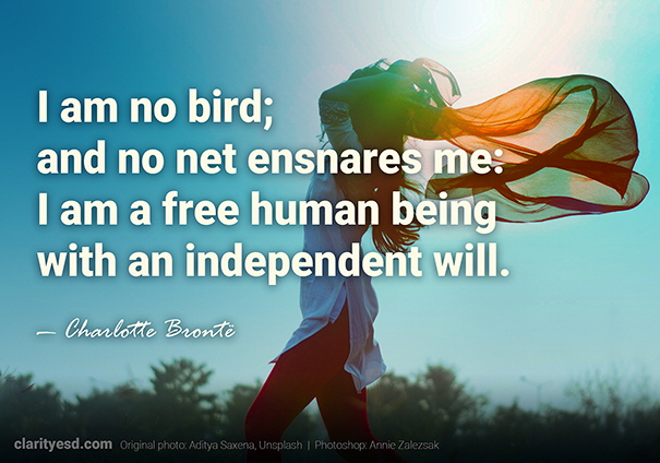 I am no bird; and no net ensnares me: I am a free human being with an independent will.