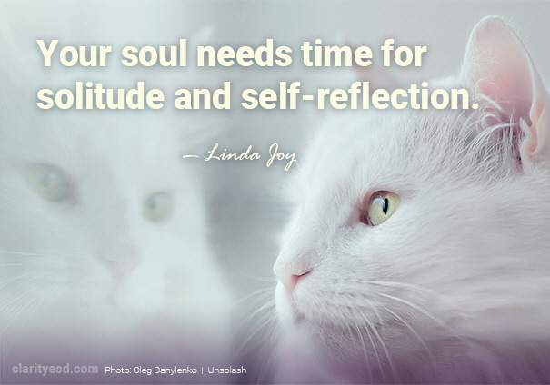 Your soul needs time for solitude and self-reflection.