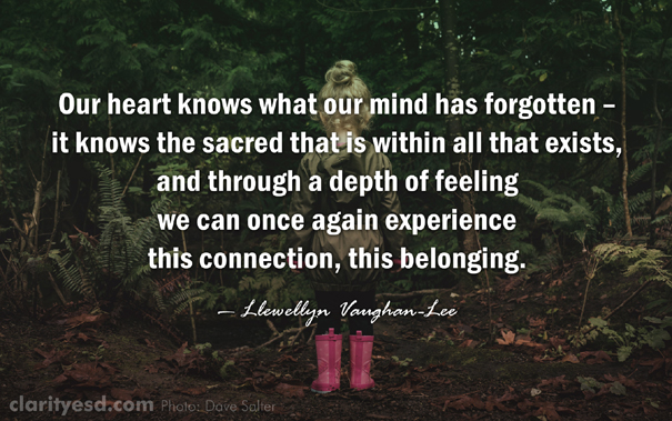 Our heart knows what our mind has forgotten – it knows the sacred that is within all that exists, and through a depth of feeling we can once again experience this connection, this belonging.