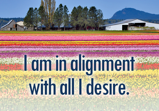 I am in alignment with all I desire