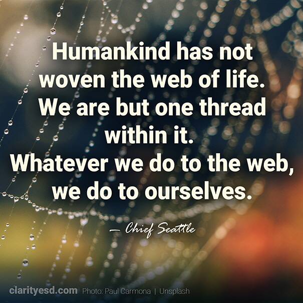 Humankind has not woven the web of life. We are but one thread within it. Whatever we do to the web, we do to ourselves.